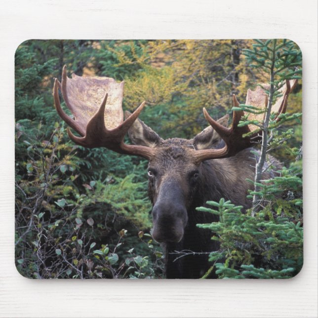 North America, Canada, Nova Scotia, Cape Breton Mouse Pad (Front)