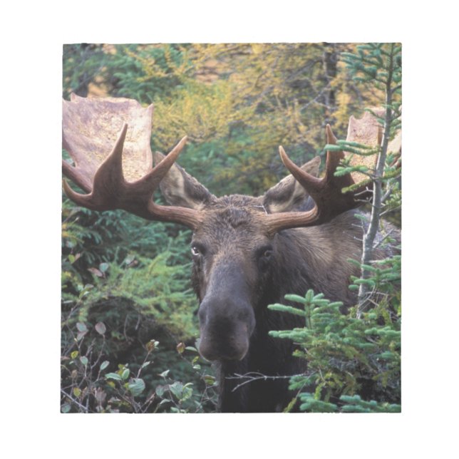 North America, Canada, Nova Scotia, Cape Breton Notepad (Front)