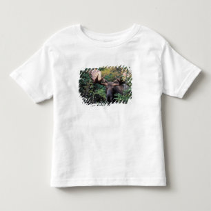 North America, Canada, Nova Scotia, Cape Breton Toddler T-shirt