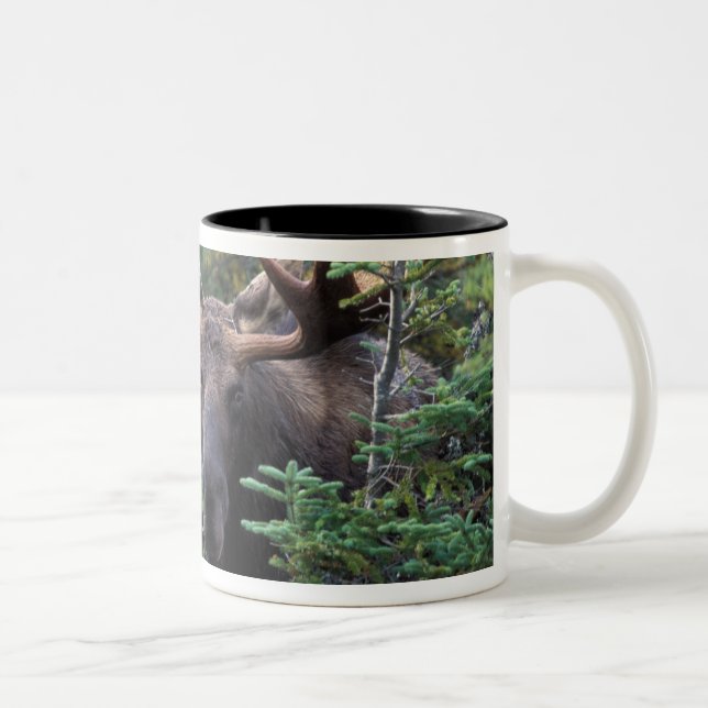 North America, Canada, Nova Scotia, Cape Breton Two-Tone Coffee Mug (Right)