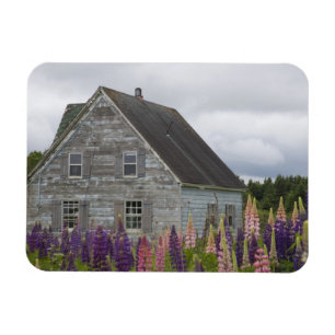 North America, Canada, Prince Edward Island, Magnet