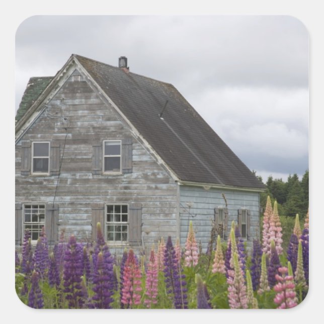 North America, Canada, Prince Edward Island, Square Sticker (Front)