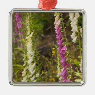 North America, Canada, Queen Charlotte Islands, 2 Metal Ornament