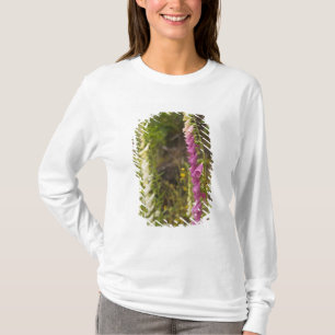 North America, Canada, Queen Charlotte Islands, 2 T-Shirt
