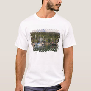 North America, Canada, Queen Charlotte Islands, 4 T-Shirt