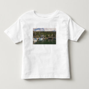 North America, Canada, Queen Charlotte Islands, 4 Toddler T-shirt