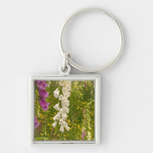 North America, Canada, Queen Charlotte Islands, 5 Keychain
