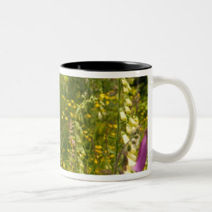 North America, Canada, Queen Charlotte Islands, 5 Two-Tone Coffee Mug