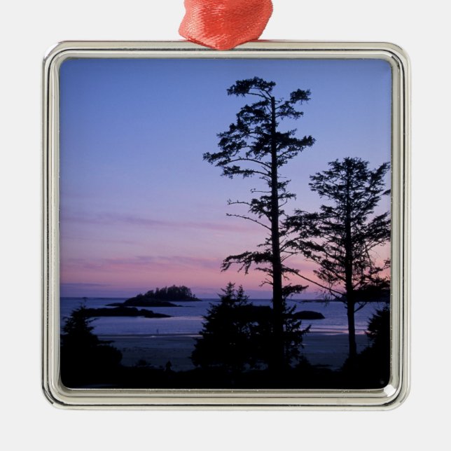 North America, Canada, Vancouver Island, trees Metal Ornament (Front)