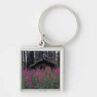 North America, Canada, Yukon. Abandoned trappers