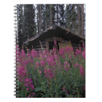 North America, Canada, Yukon. Abandoned trappers