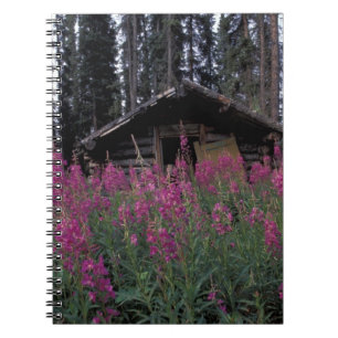 North America, Canada, Yukon. Abandoned trappers Notebook