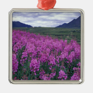 North America, Canada, Yukon. Fireweed blooms Metal Ornament