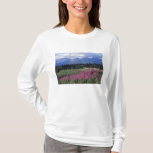 North America, Canada, Yukon. Fireweed blooms T-Shirt
