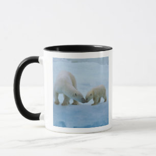 North America, Canadian Arctic. Polar bear Mug