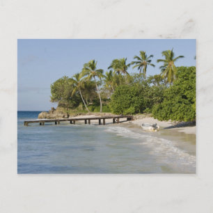 North America, Caribbean, Dominican Republic. Postcard