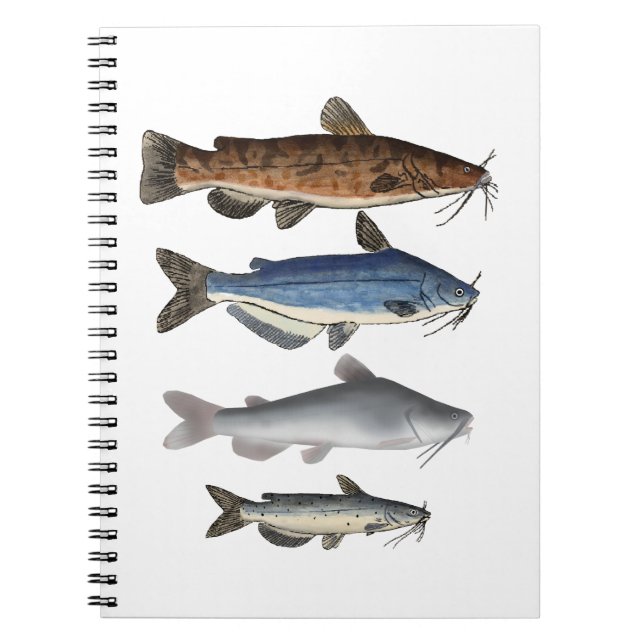 North America Catfish Group Notebook (Front)