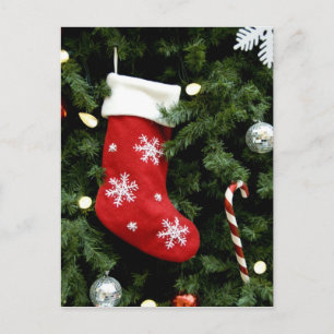 North America. Christmas decorations on tree. 3 Holiday Postcard