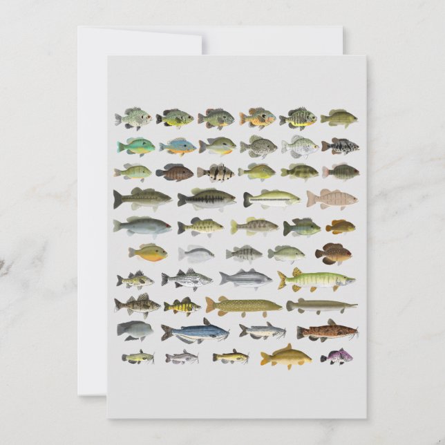 North America Freshwater Fish Group Canvas Print (Front)
