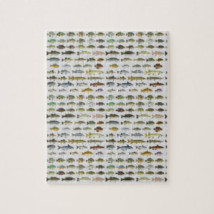 North America Freshwater Fish Group Jigsaw Puzzle