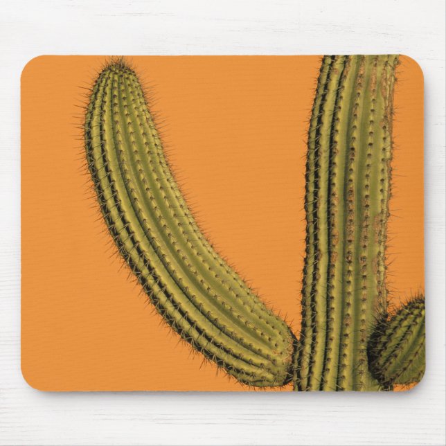 North America, Mexico, Baja California, Cabo Mouse Pad (Front)