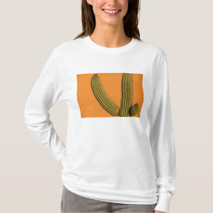 North America, Mexico, Baja California, Cabo T-Shirt