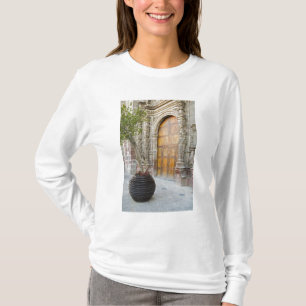 North America, Mexico, Guanajuato state, San 3 T-Shirt