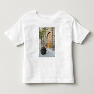 North America, Mexico, Guanajuato state, San 3 Toddler T-shirt