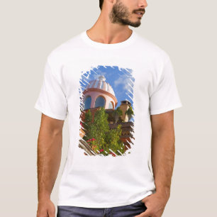 North America, Mexico, Guanajuato state, San 4 T-Shirt