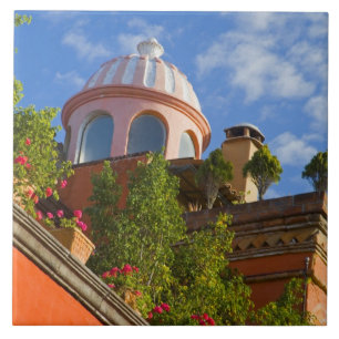 North America, Mexico, Guanajuato state, San 4 Tile