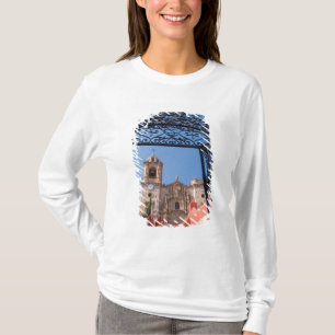 North America, Mexico, Guanajuato State. The T-Shirt