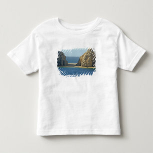 North America, Mexico, State of Baja California Toddler T-shirt