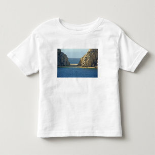 North America, Mexico, State of Baja California Toddler T-shirt