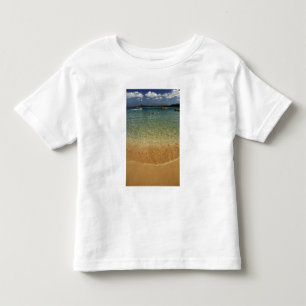 North America, Mexico, State of Guerrero, Ixtapa Toddler T-shirt