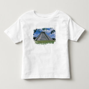 North America, Mexico, Yucatan Peninsula, 2 Toddler T-shirt