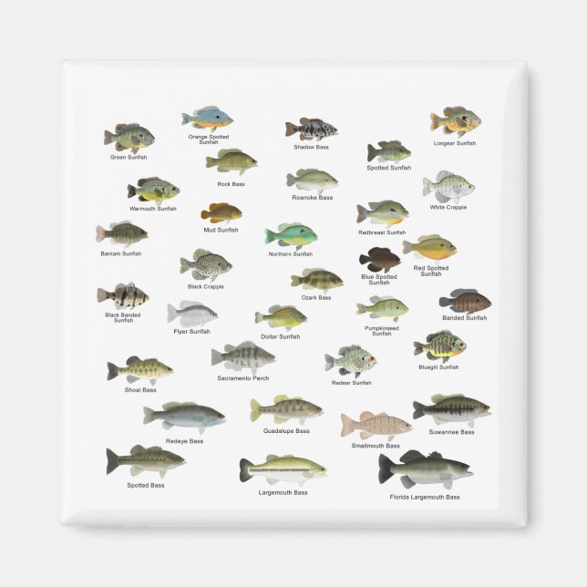North America Sunfish Family Group Magnet (Front)