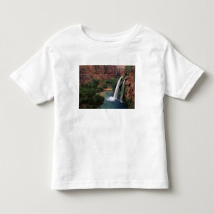 North America, U.S.A., Arizona, Havasu Canyon, Toddler T-shirt