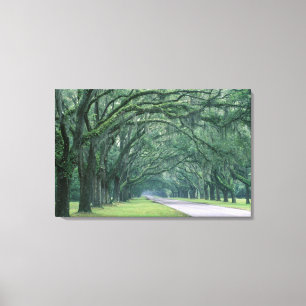 North America, U.S.A., Georgia, Savannah, Canvas Print