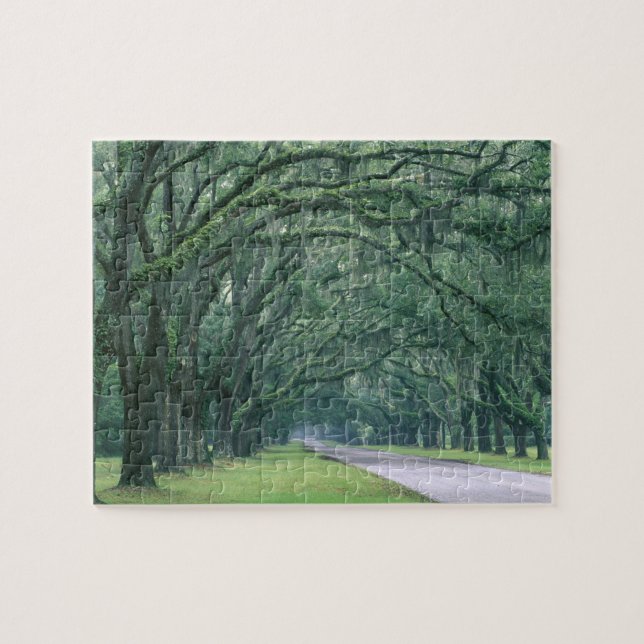 North America, U.S.A., Georgia, Savannah, Jigsaw Puzzle (Horizontal)