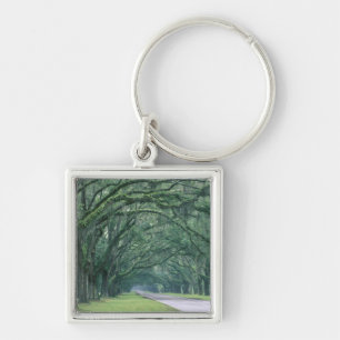 North America, U.S.A., Georgia, Savannah, Keychain