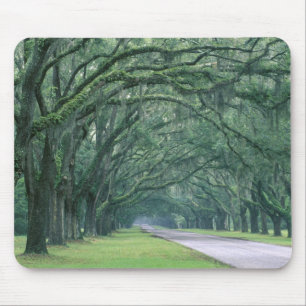 North America, U.S.A., Georgia, Savannah, Mouse Pad