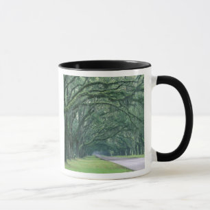 North America, U.S.A., Georgia, Savannah, Mug