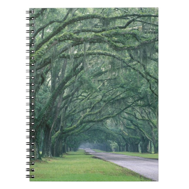 North America, U.S.A., Georgia, Savannah, Notebook (Front)