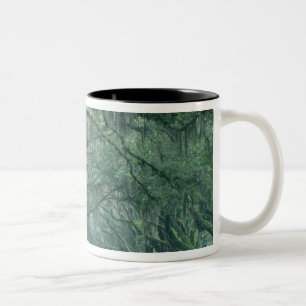 North America, U.S.A., Georgia, Savannah, Two-Tone Coffee Mug