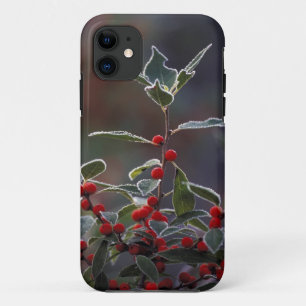 North America, United States, New England. Holly 2 iPhone 11 Case
