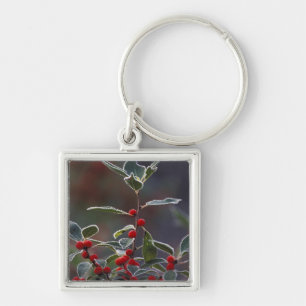 North America, United States, New England. Holly 2 Keychain