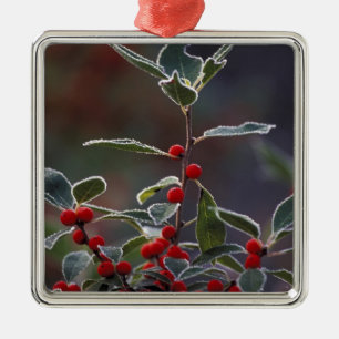 North America, United States, New England. Holly 2 Metal Ornament