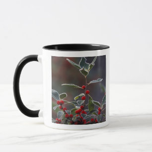 North America, United States, New England. Holly 2 Mug