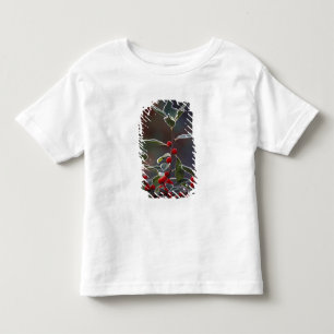 North America, United States, New England. Holly 2 Toddler T-shirt
