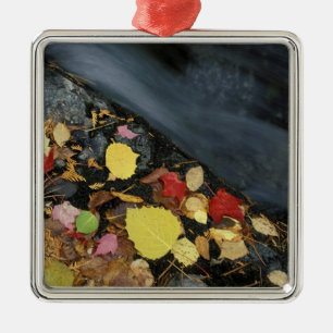 North America, US, ME, A stream in fall. Metal Ornament